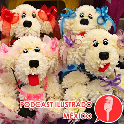 Podcast ilustrado: Mercado de Jamaica