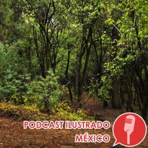 Podcast ilustrado: el Desierto de los Leones