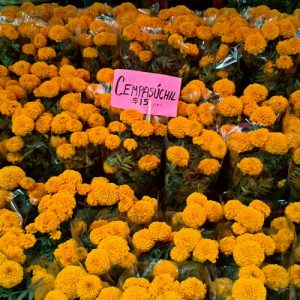 Día de Muertos: Tradiciones